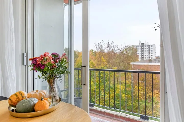 Pisanostraat 184 Eindhoven thumbnail 20