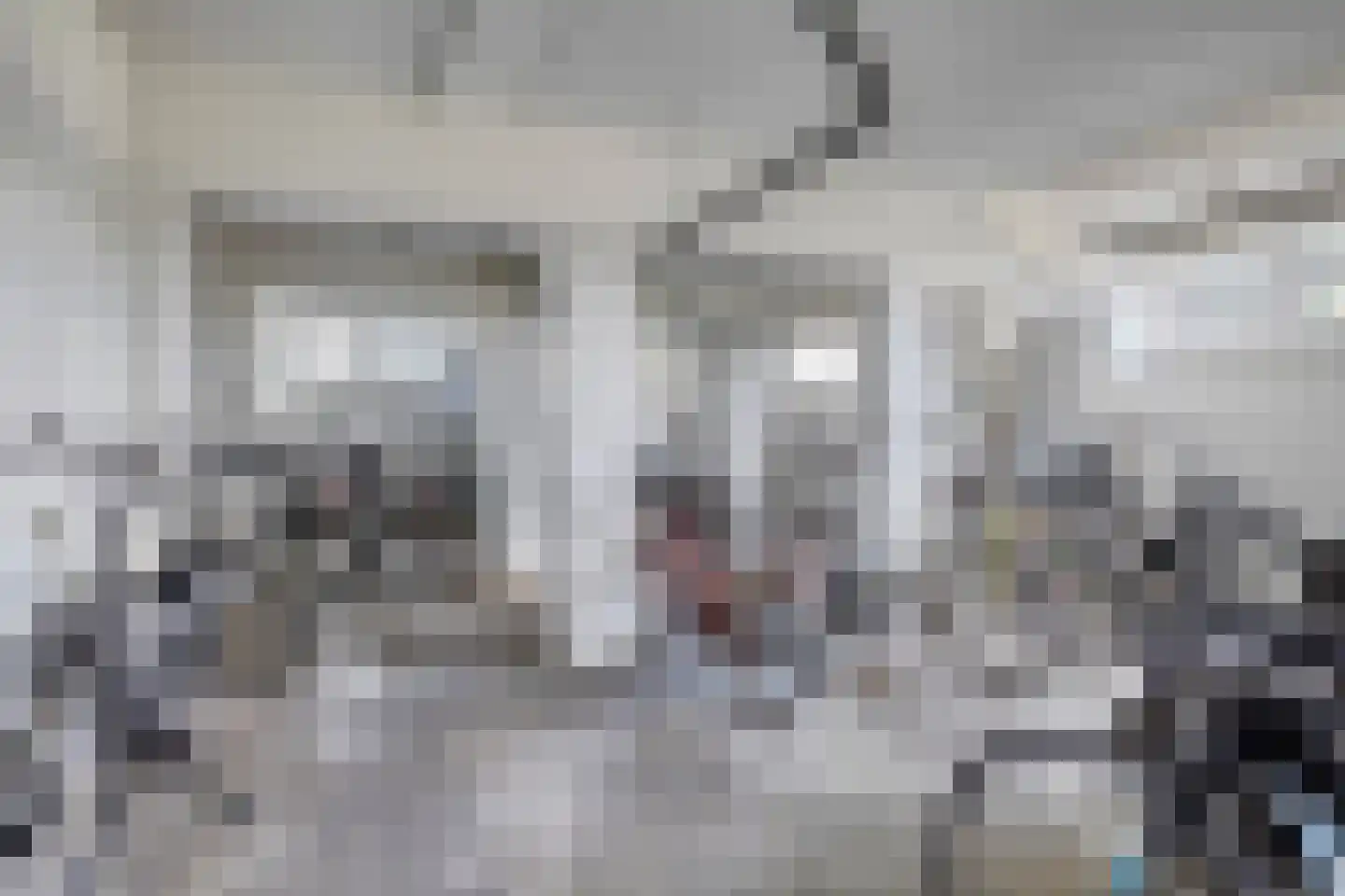 Pisanostraat 196 Eindhoven thumbnail 25