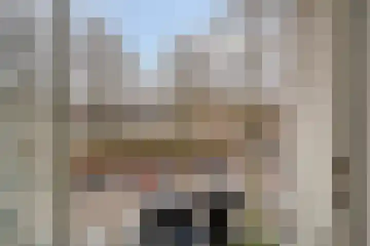 Pisanostraat 20 Eindhoven thumbnail 12