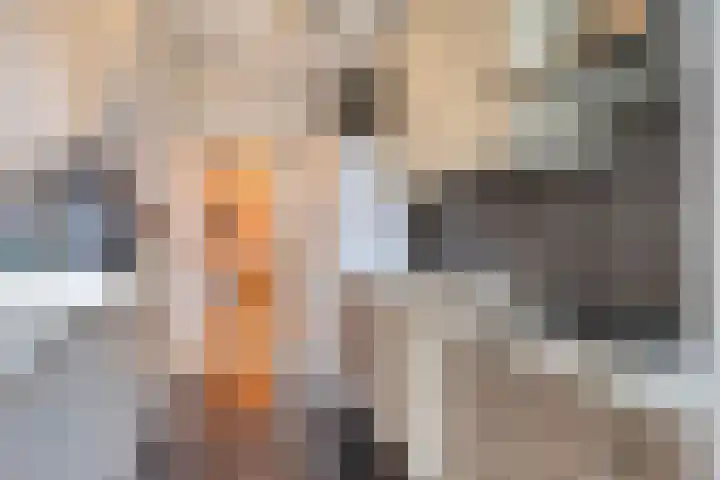 Pisanostraat 20 Eindhoven thumbnail 15