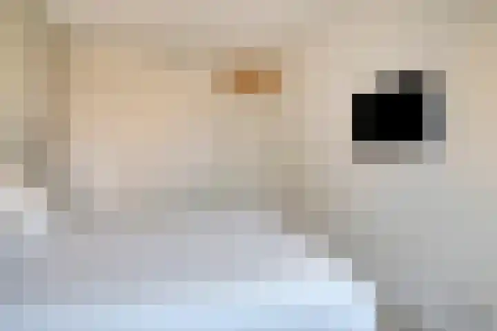 Pisanostraat 20 Eindhoven thumbnail 23
