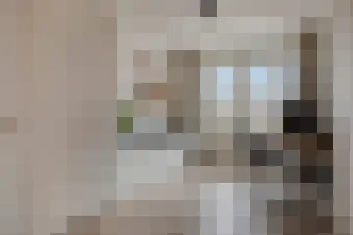 Pisanostraat 20 Eindhoven thumbnail 24