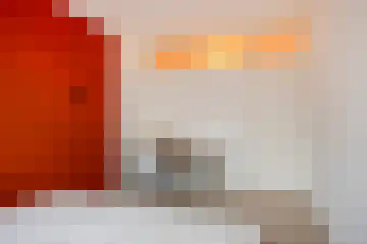 Pisanostraat 20 Eindhoven thumbnail 26