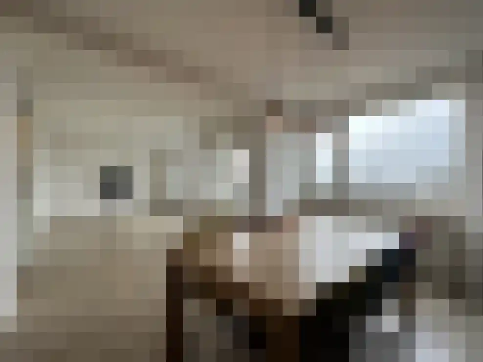 Pisanostraat 206 Eindhoven thumbnail 11