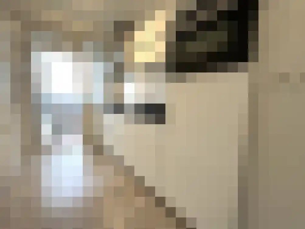 Pisanostraat 206 Eindhoven thumbnail 15