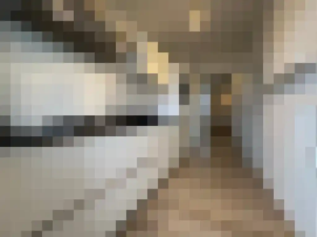 Pisanostraat 206 Eindhoven thumbnail 16