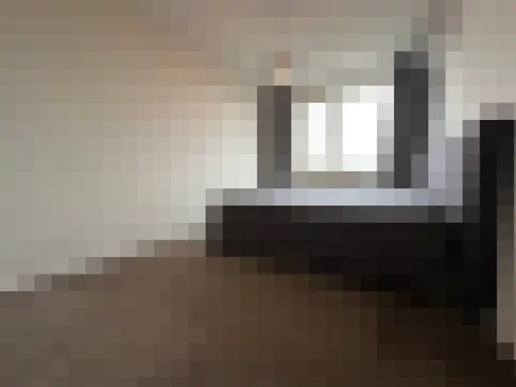 Pisanostraat 206 Eindhoven thumbnail 17