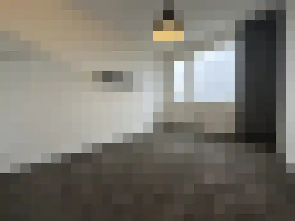 Pisanostraat 206 Eindhoven thumbnail 20