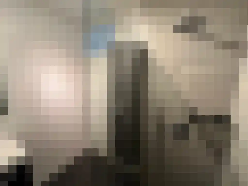 Pisanostraat 206 Eindhoven thumbnail 24