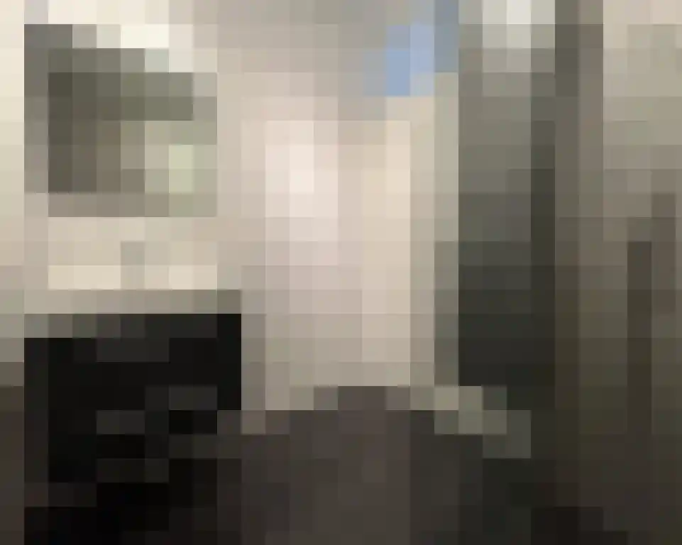 Pisanostraat 206 Eindhoven thumbnail 25