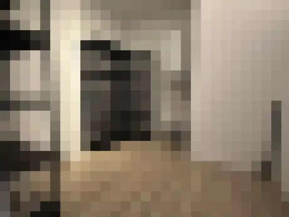 Pisanostraat 206 Eindhoven thumbnail 26