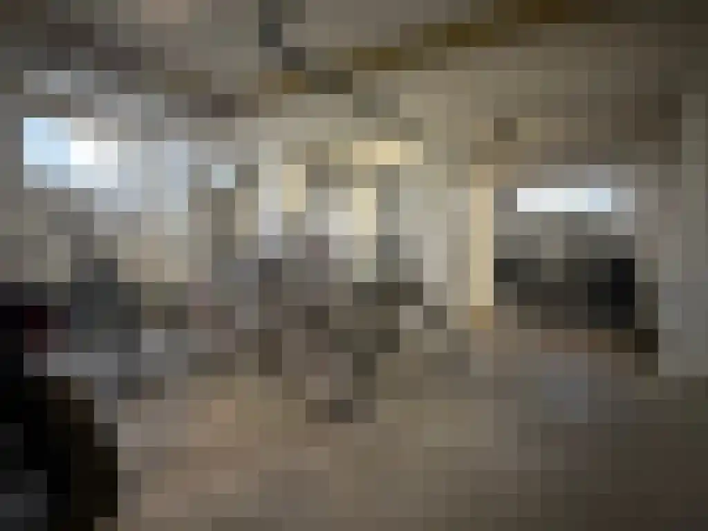 Pisanostraat 206 Eindhoven thumbnail 29