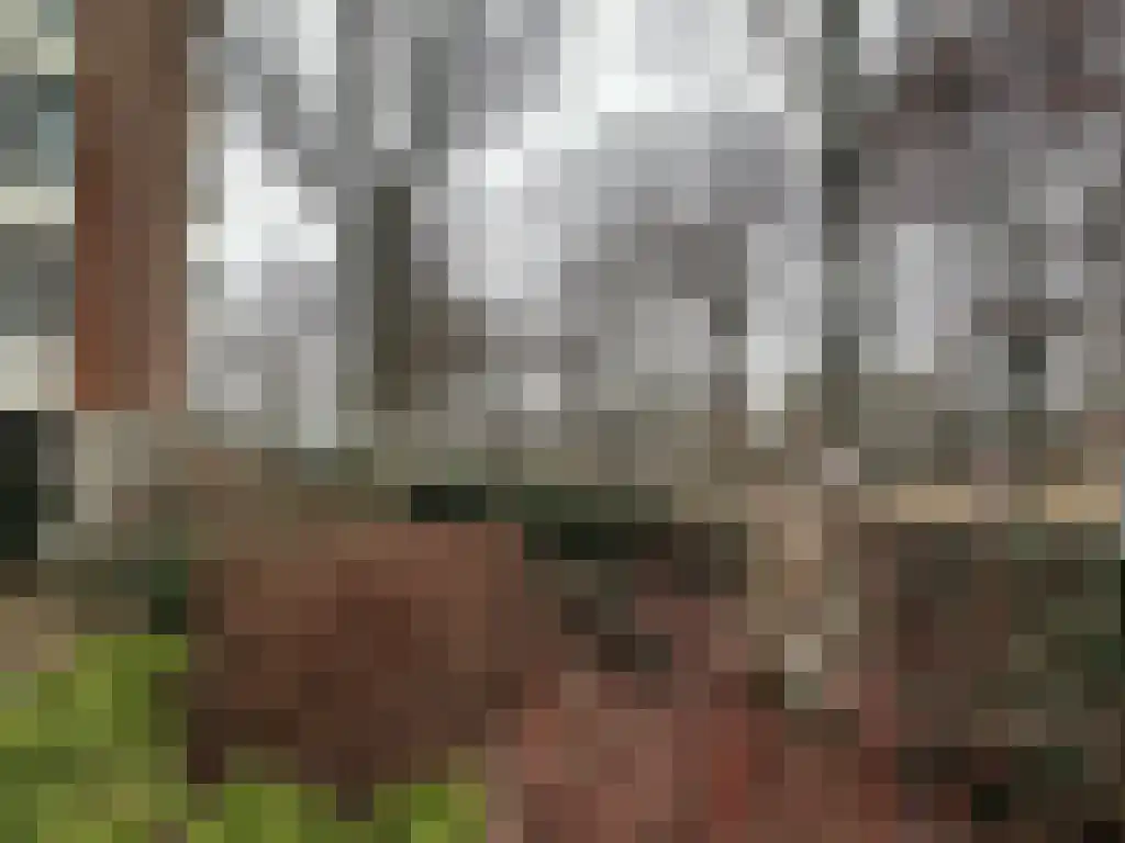 Pisanostraat 206 Eindhoven thumbnail 32