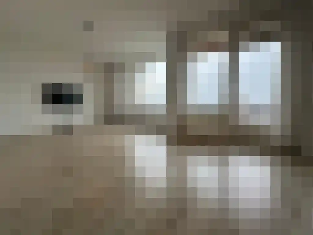 Pisanostraat 206 Eindhoven thumbnail 5