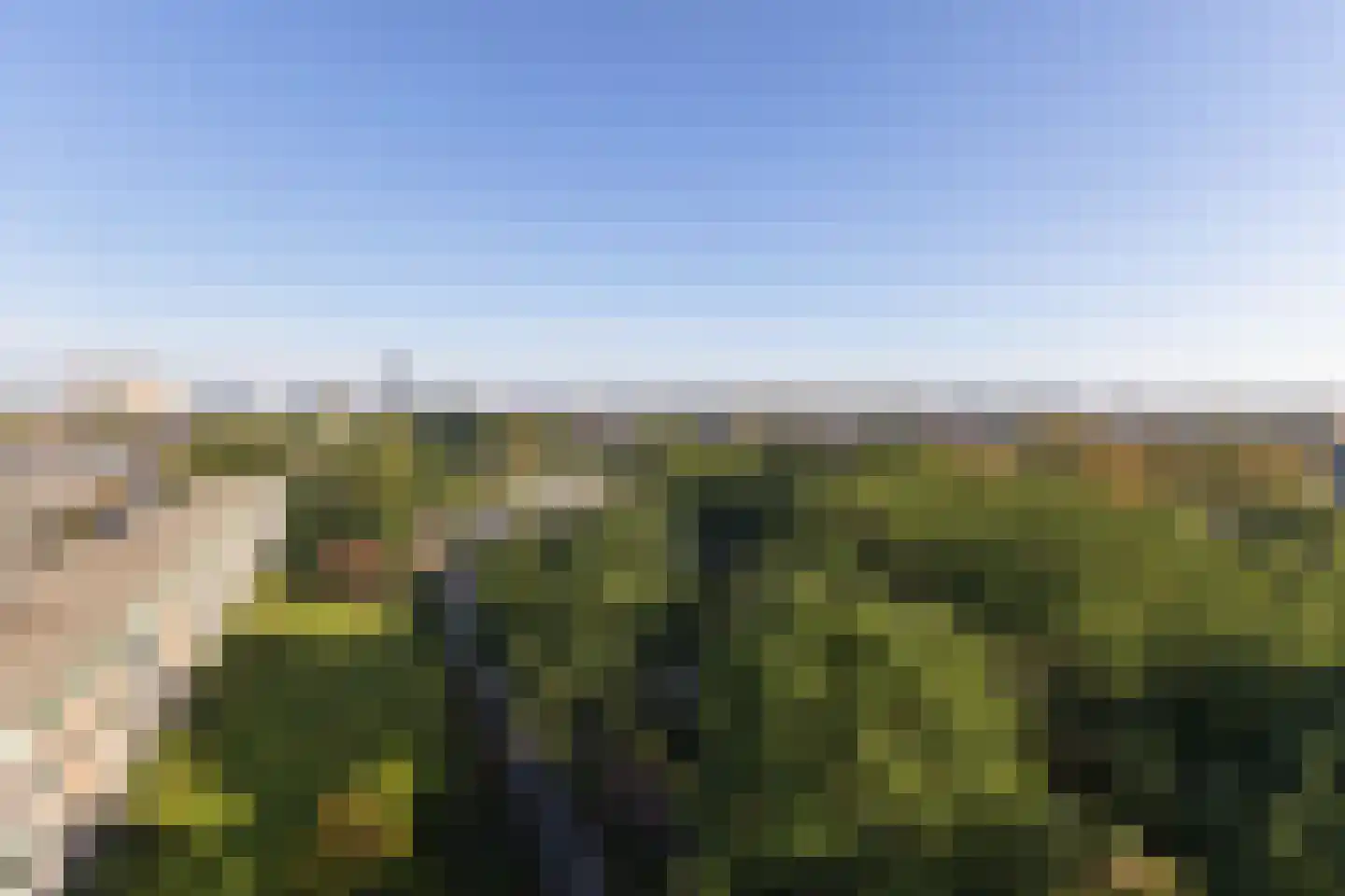 Pisanostraat 212 Eindhoven thumbnail 15