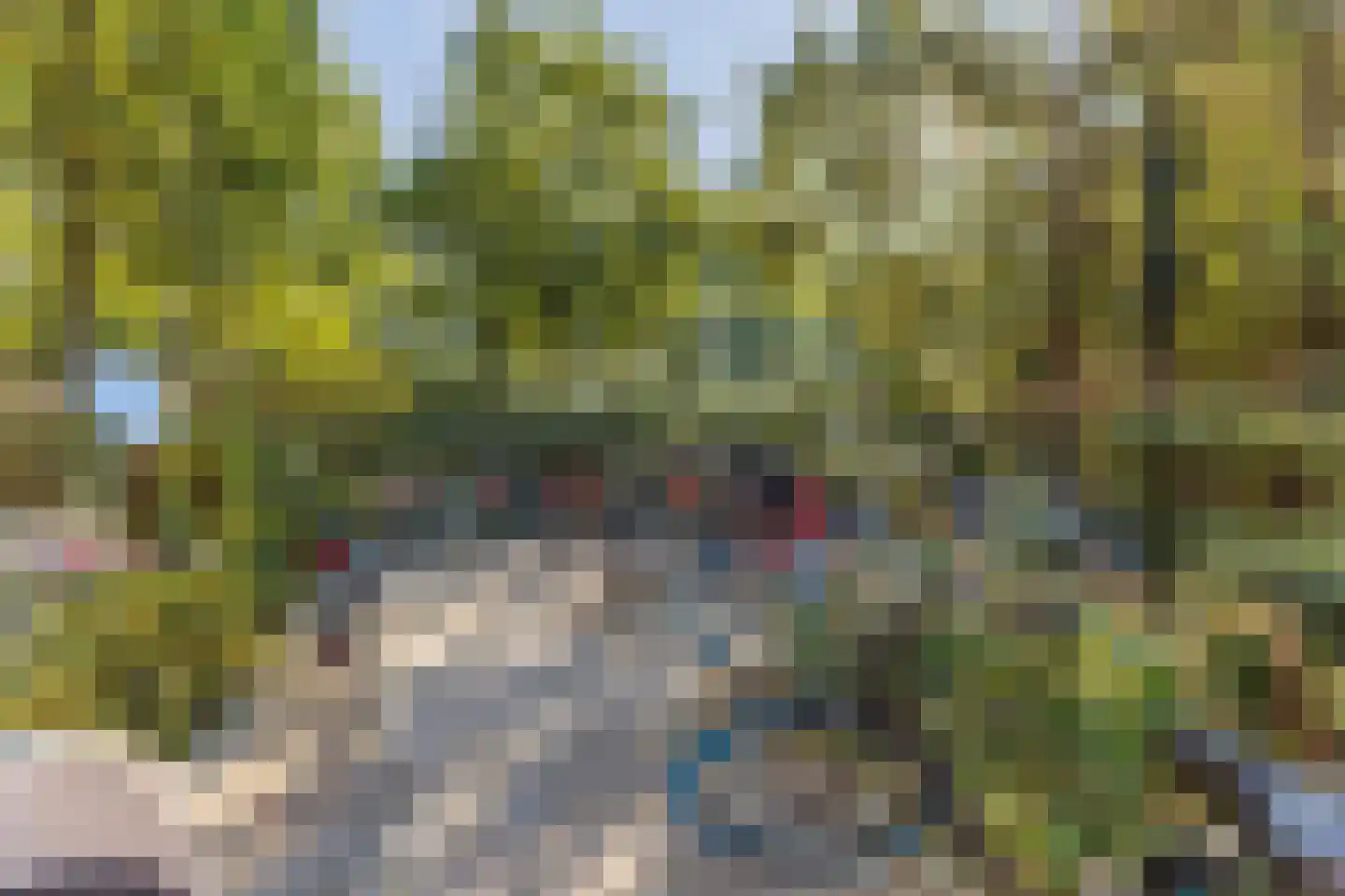 Pisanostraat 212 Eindhoven thumbnail 32