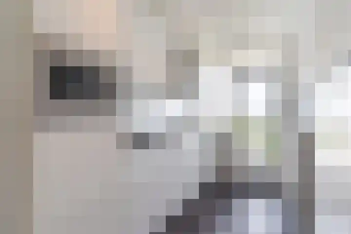 Pisanostraat 218 Eindhoven thumbnail 10