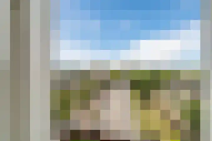 Pisanostraat 218 Eindhoven thumbnail 21