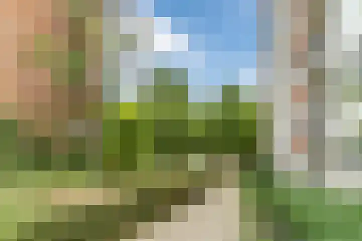 Pisanostraat 218 Eindhoven thumbnail 24