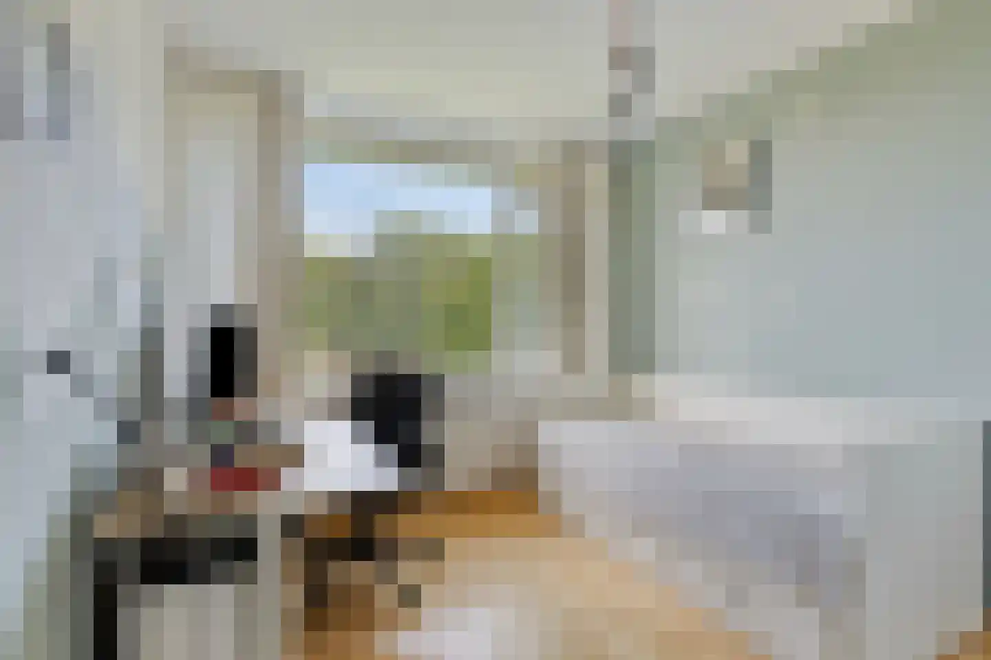 Pisanostraat 260 Eindhoven thumbnail 18