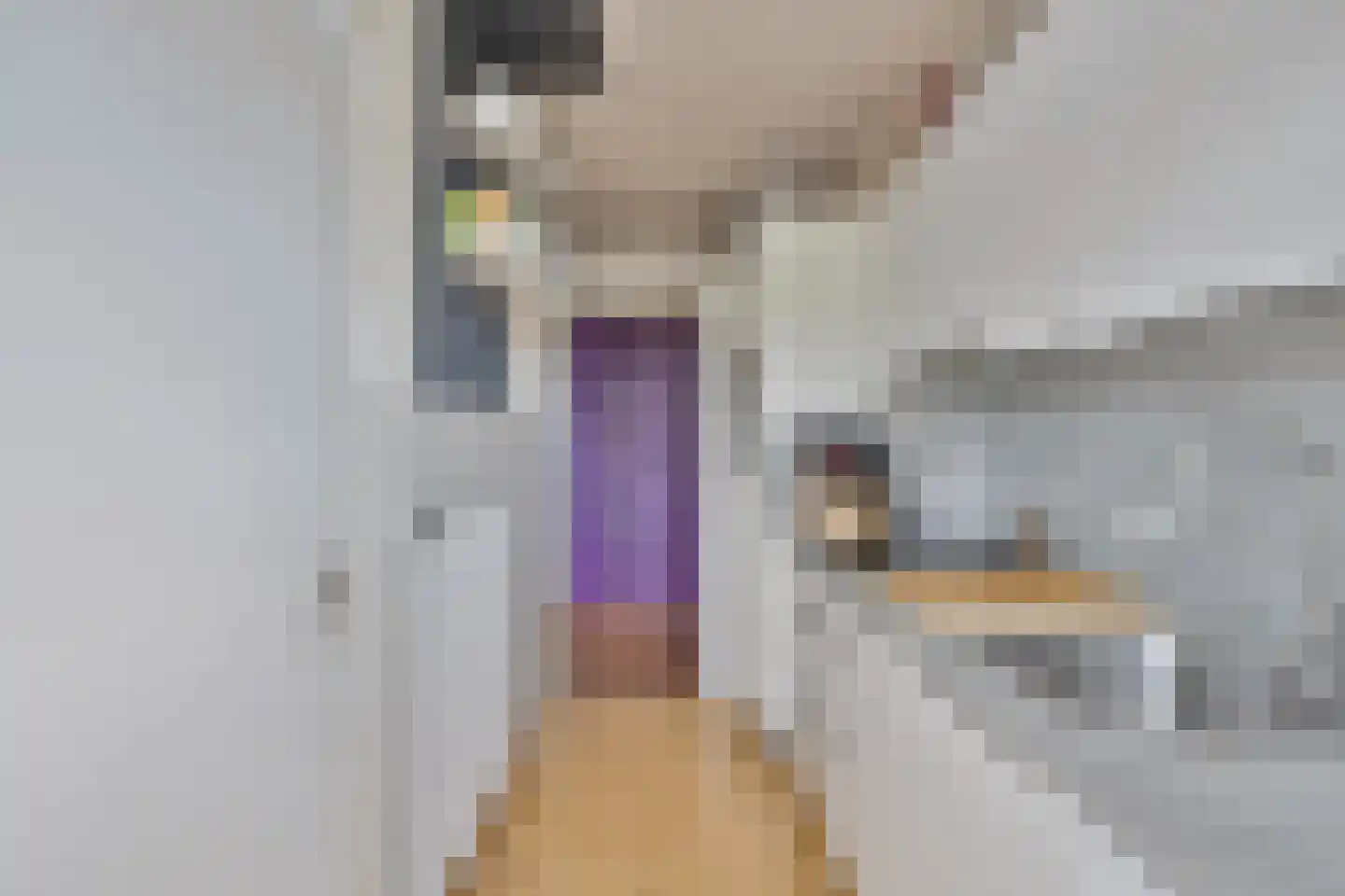 Pisanostraat 260 Eindhoven thumbnail 21