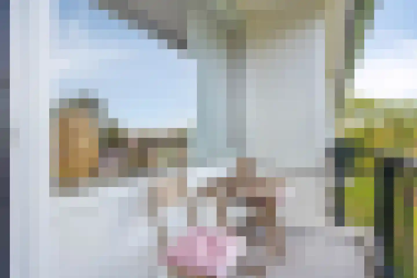 Pisanostraat 260 Eindhoven thumbnail 5