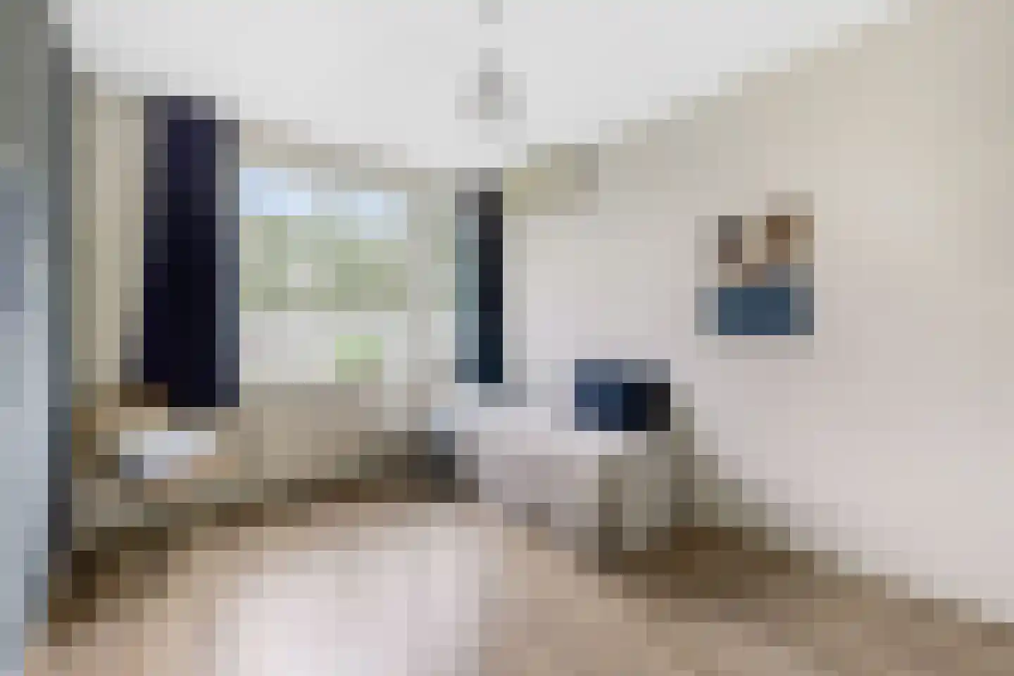 Pisanostraat 262 Eindhoven thumbnail 14