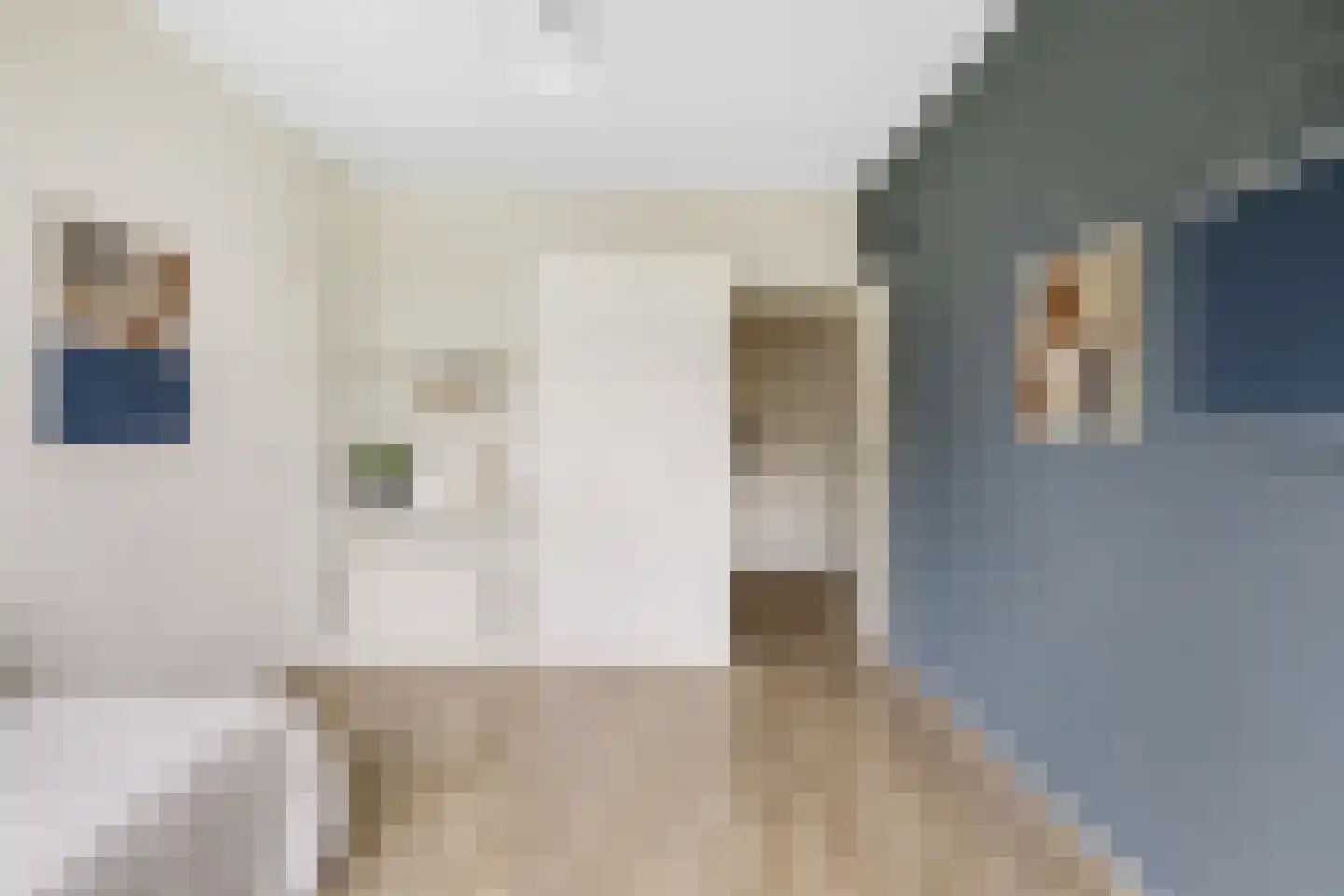 Pisanostraat 262 Eindhoven thumbnail 15