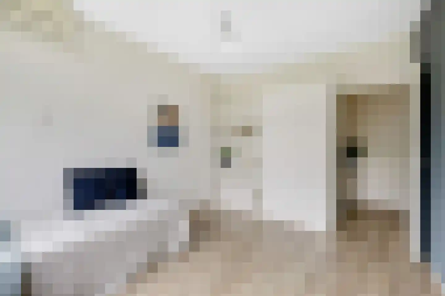 Pisanostraat 262 Eindhoven thumbnail 16