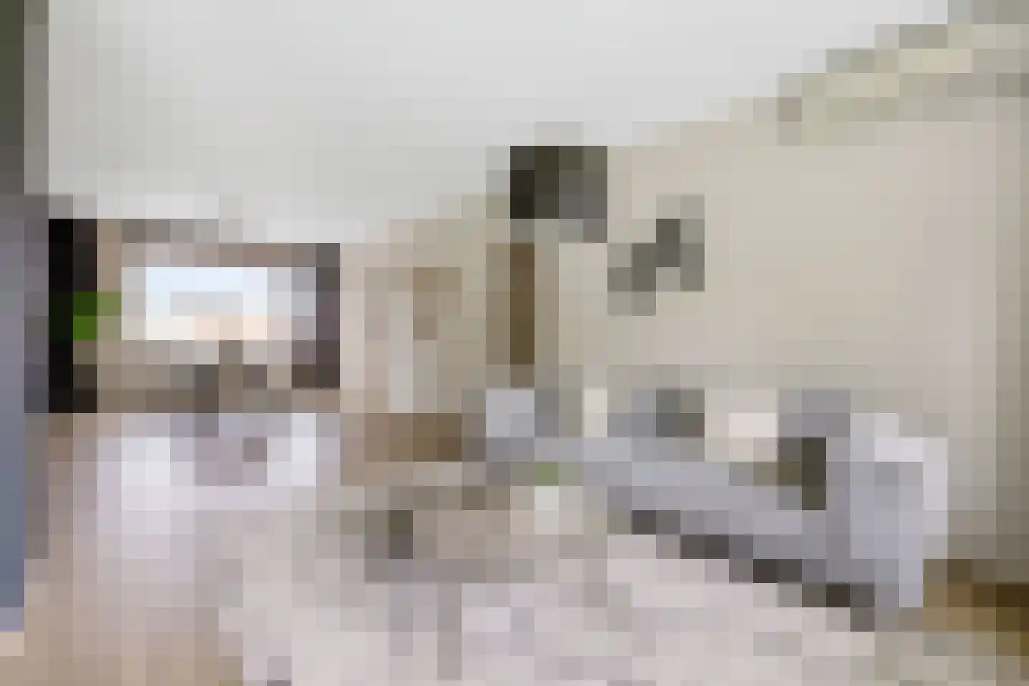 Pisanostraat 262 Eindhoven thumbnail 17