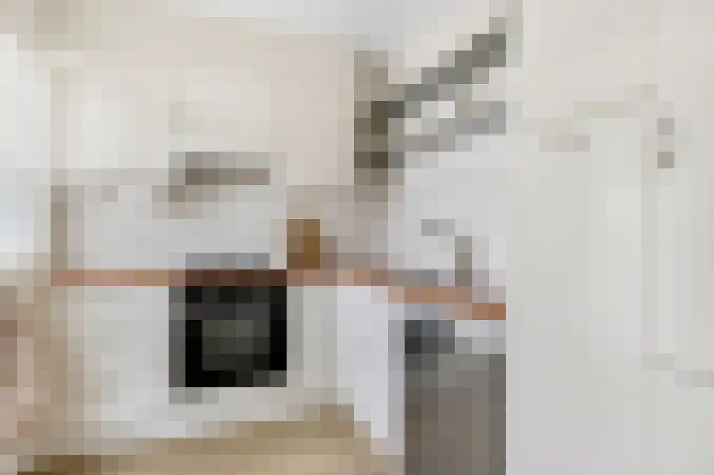 Pisanostraat 262 Eindhoven thumbnail 22