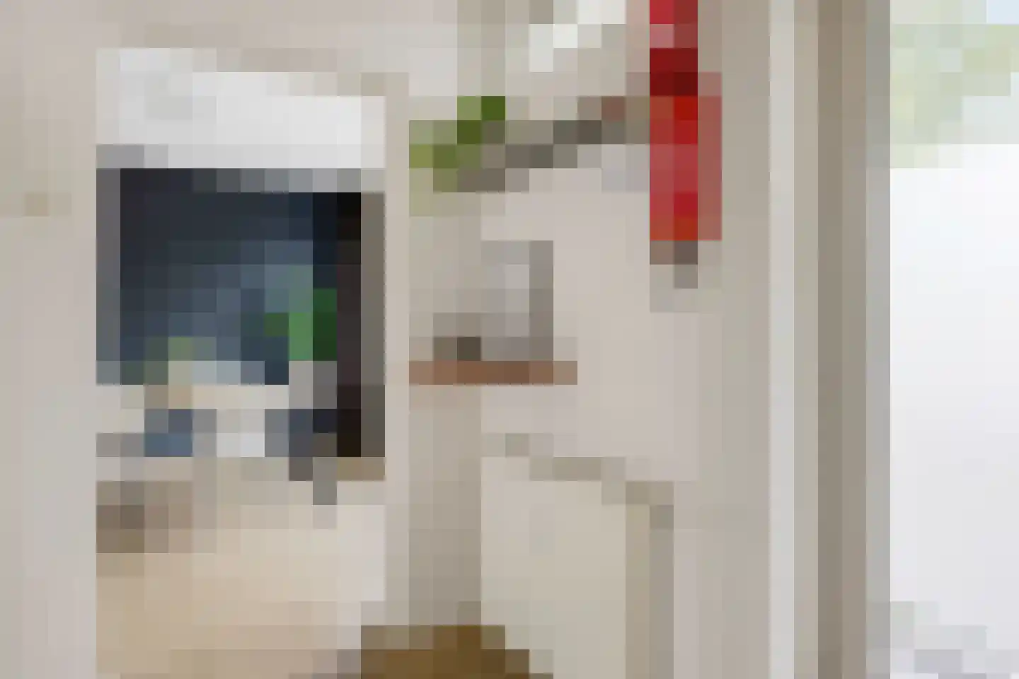Pisanostraat 262 Eindhoven thumbnail 23
