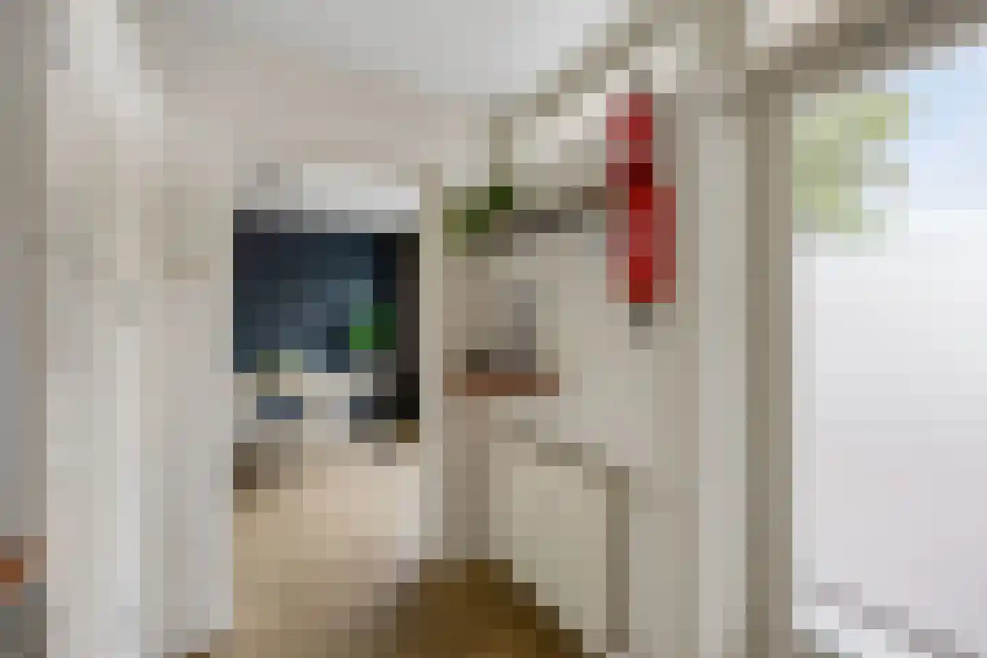 Pisanostraat 262 Eindhoven thumbnail 25