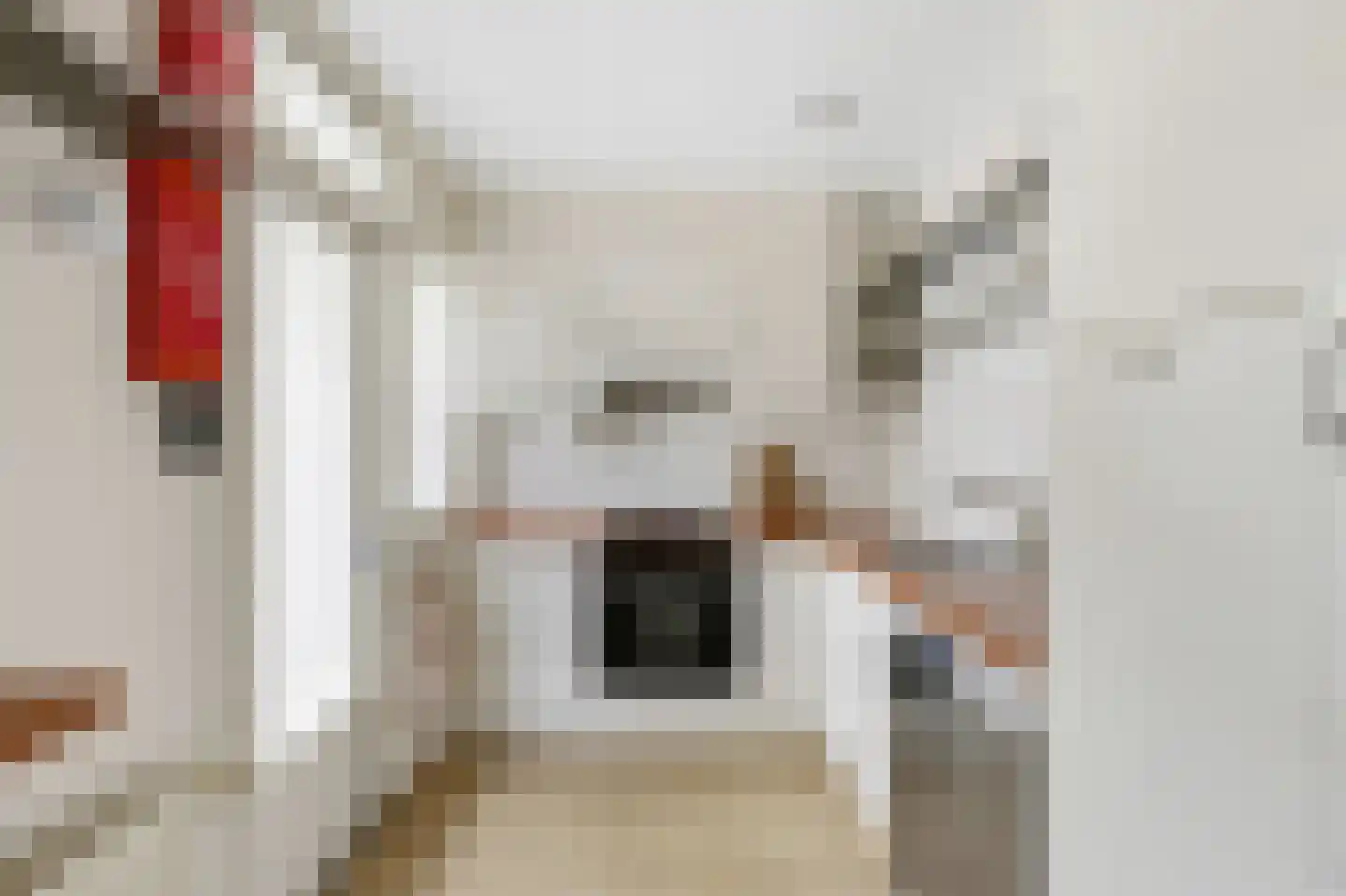 Pisanostraat 262 Eindhoven thumbnail 26