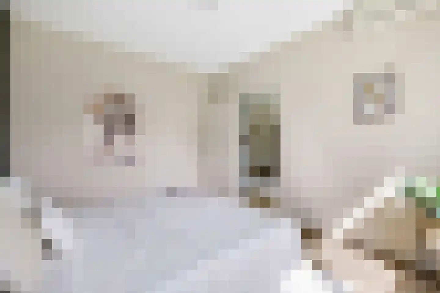 Pisanostraat 262 Eindhoven thumbnail 30