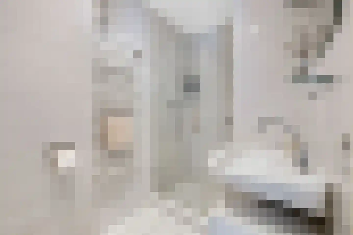 Pisanostraat 262 Eindhoven thumbnail 31