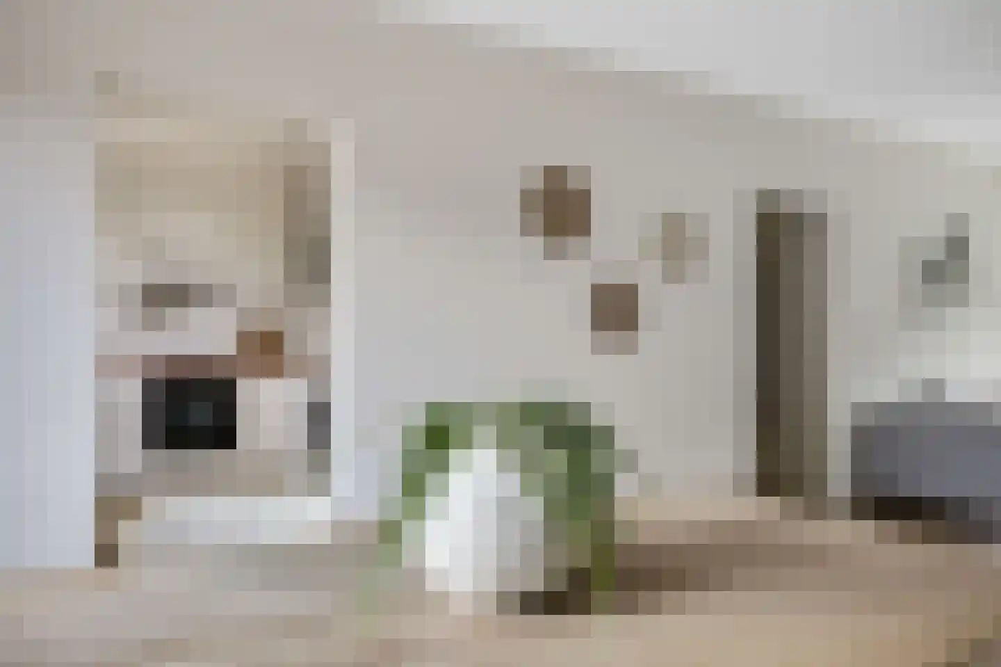 Pisanostraat 262 Eindhoven thumbnail 32