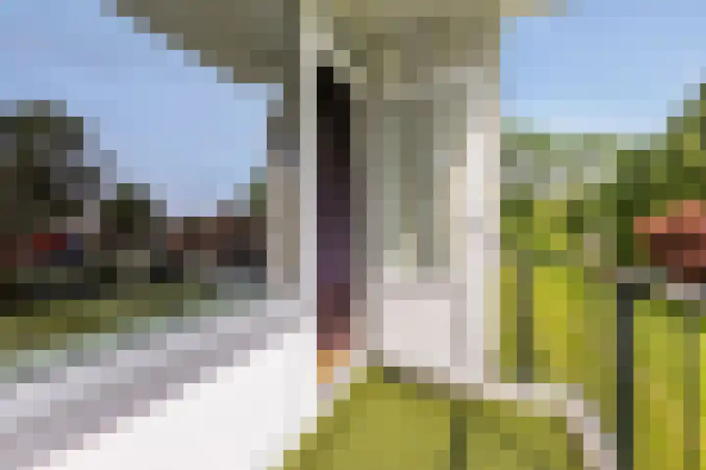 Pisanostraat 262 Eindhoven thumbnail 34