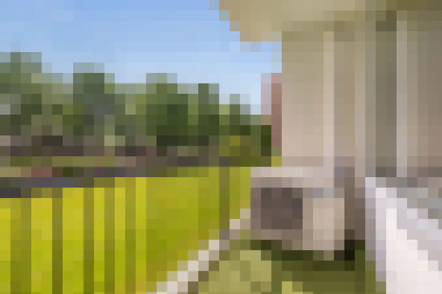 Pisanostraat 262 Eindhoven thumbnail 35