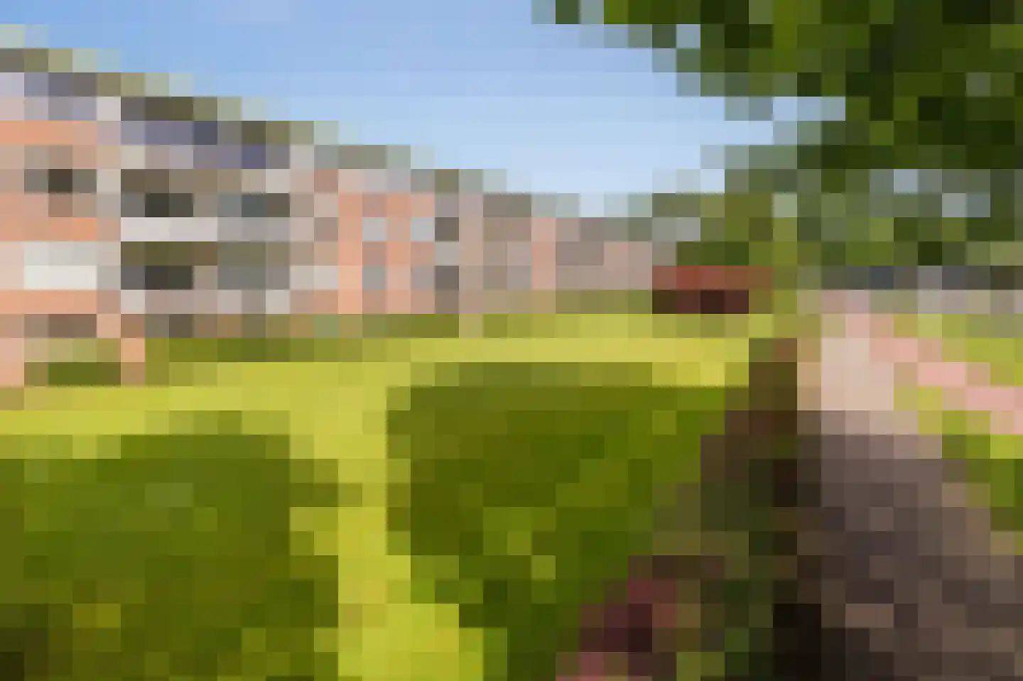 Pisanostraat 262 Eindhoven thumbnail 39
