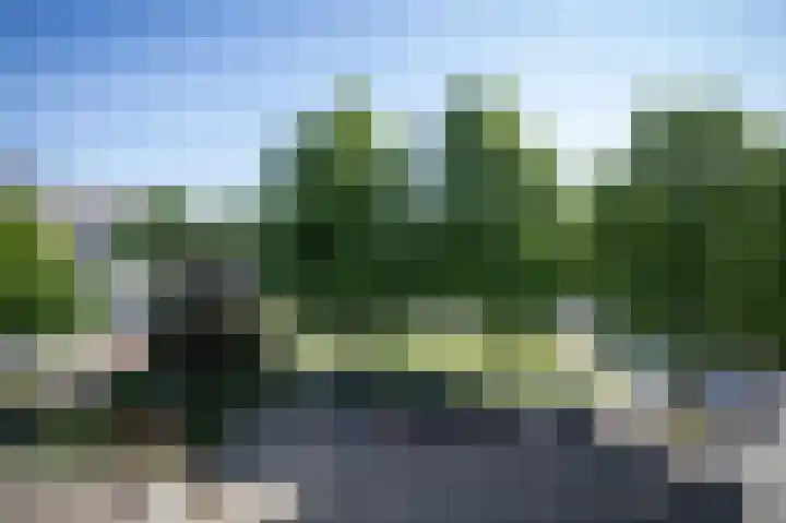 Pisanostraat 28 Eindhoven thumbnail 10