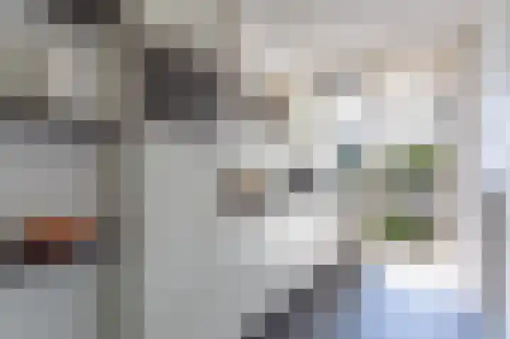 Pisanostraat 28 Eindhoven thumbnail 11