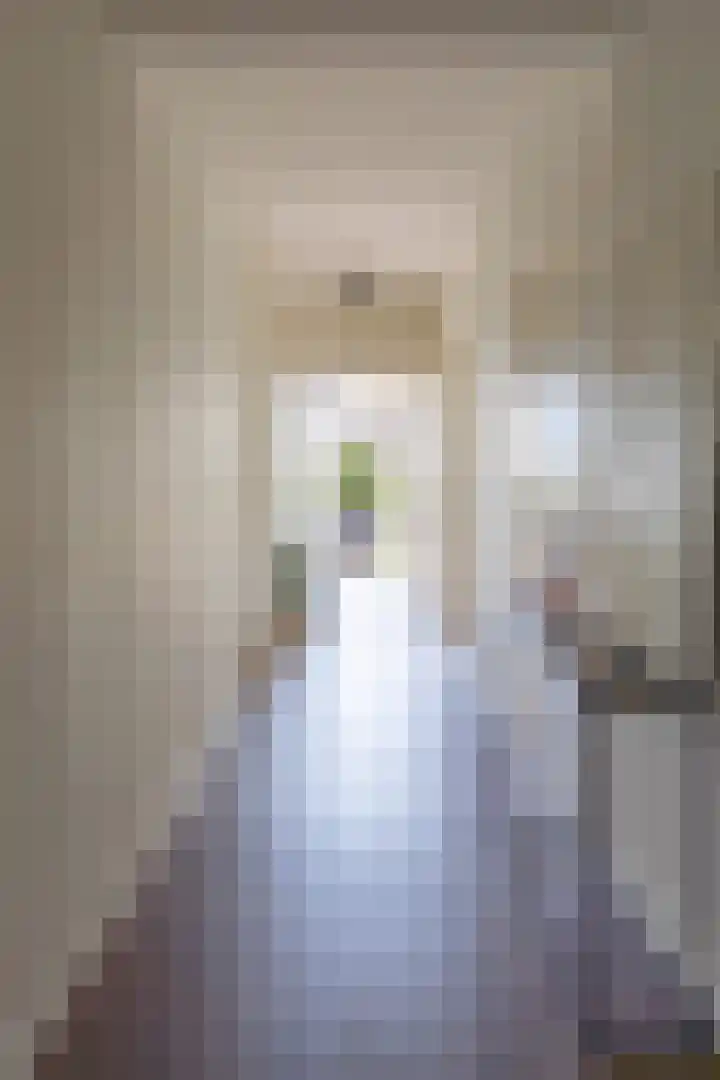 Pisanostraat 28 Eindhoven thumbnail 16