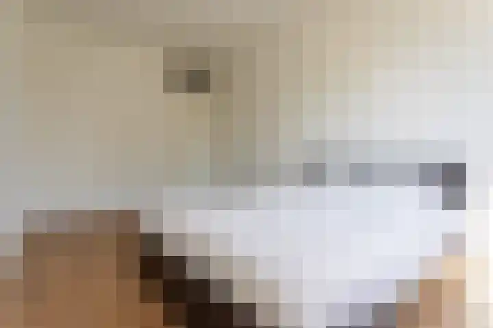 Pisanostraat 28 Eindhoven thumbnail 23