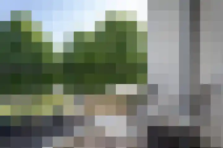 Pisanostraat 28 Eindhoven thumbnail 9