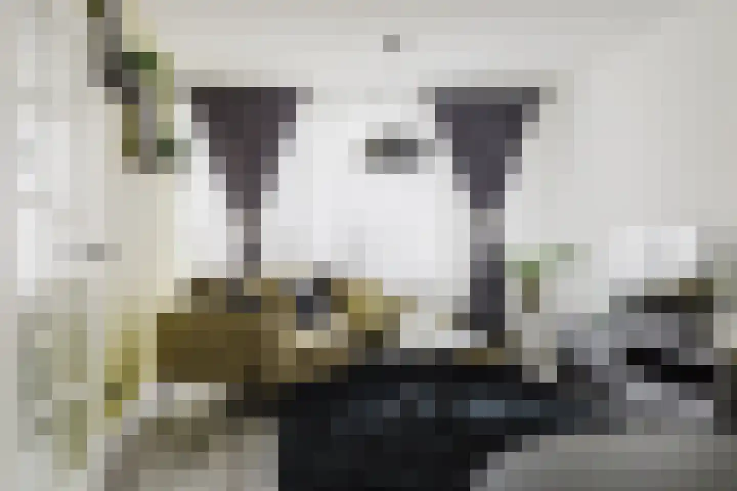 Pisanostraat 392 Eindhoven thumbnail 10
