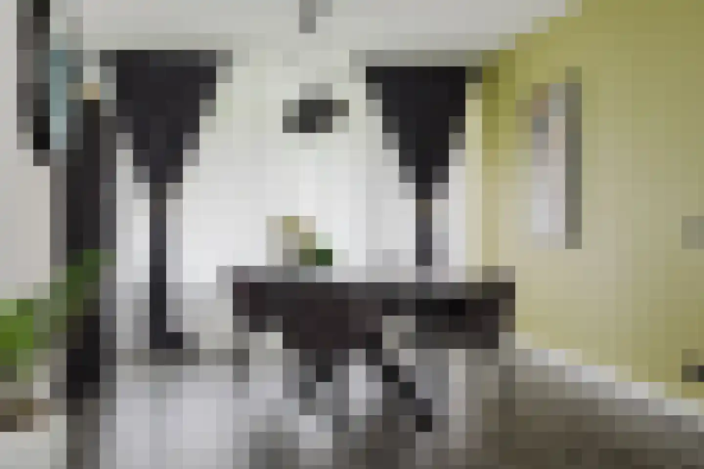Pisanostraat 392 Eindhoven thumbnail 11