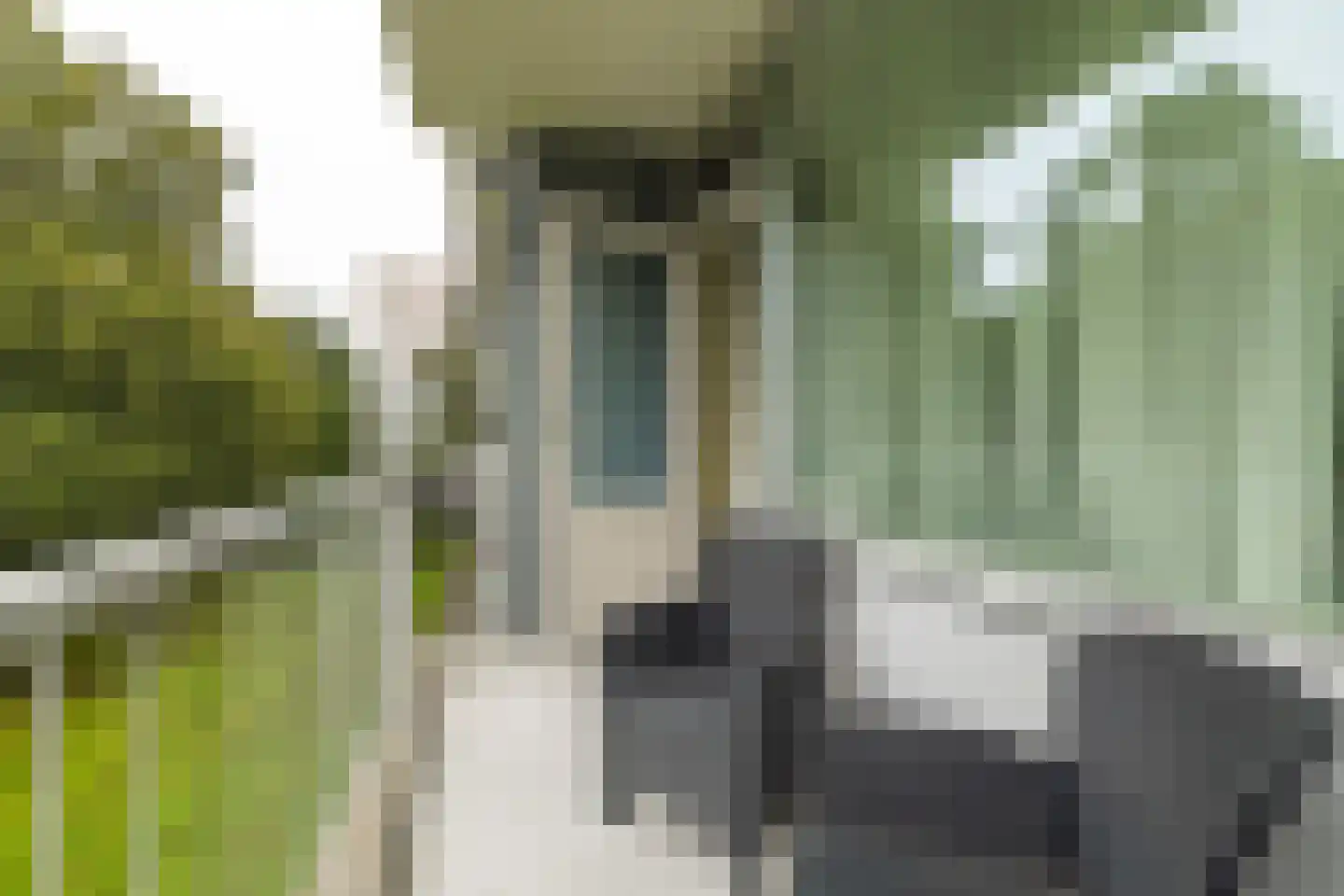 Pisanostraat 392 Eindhoven thumbnail 13