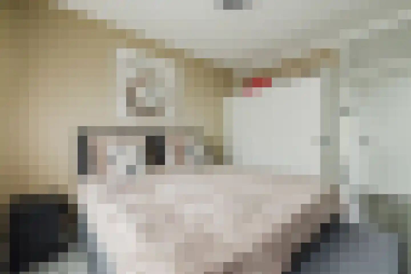 Pisanostraat 392 Eindhoven thumbnail 23
