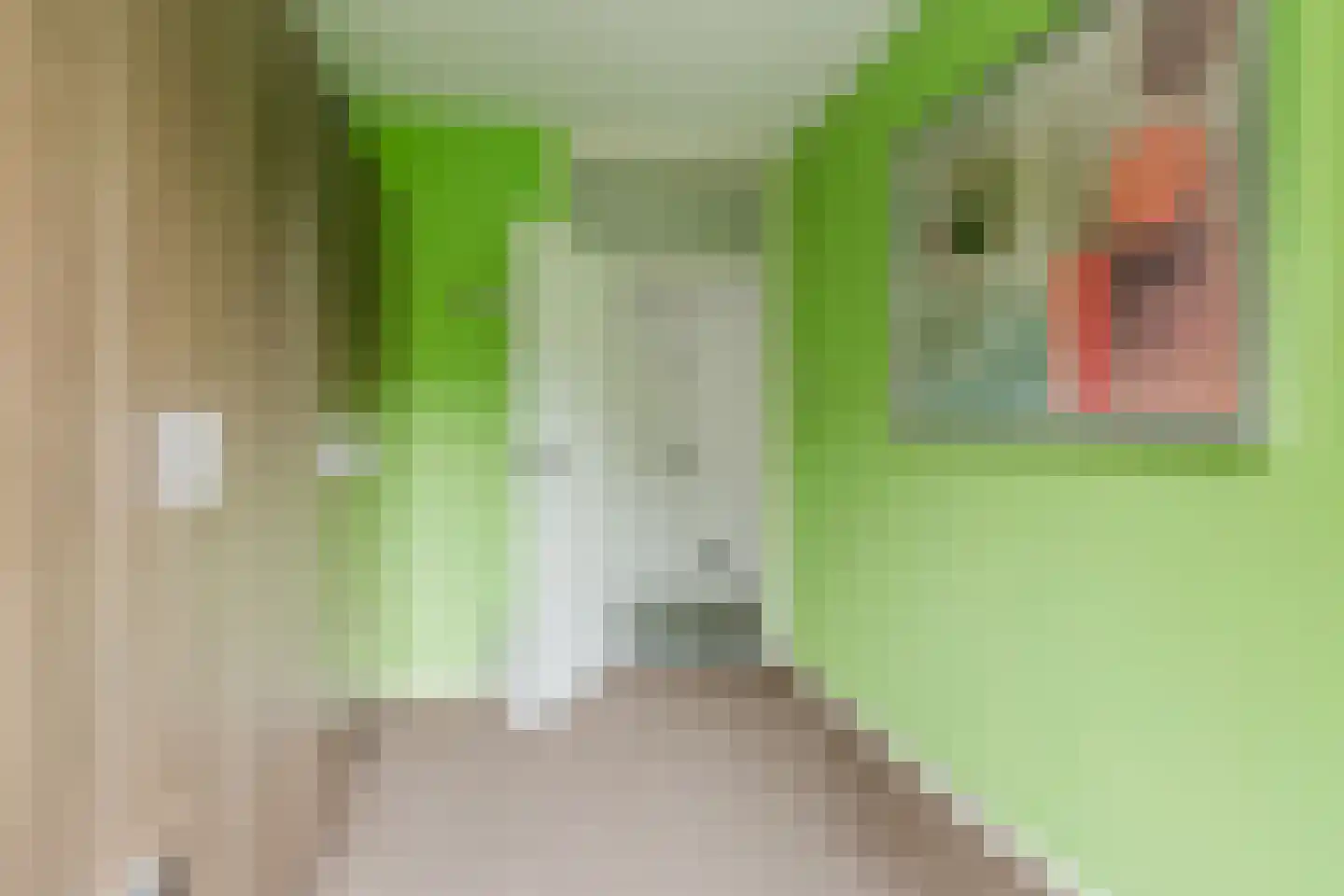 Pisanostraat 392 Eindhoven thumbnail 26